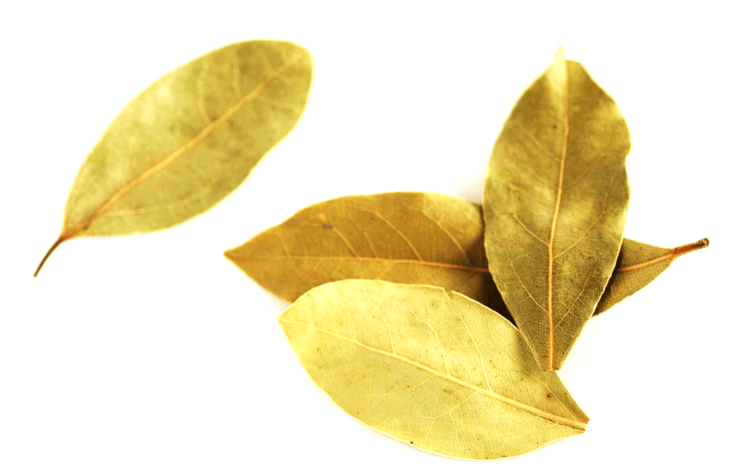 Bay Leaf Complete Information Including Health Benefits, Selection